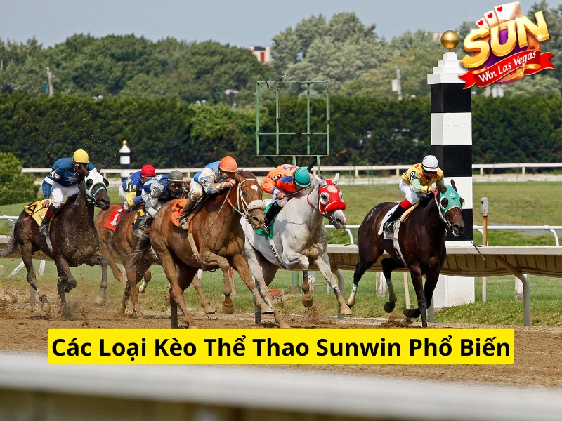 Các loại kèo thể thao Sunwin phổ biến